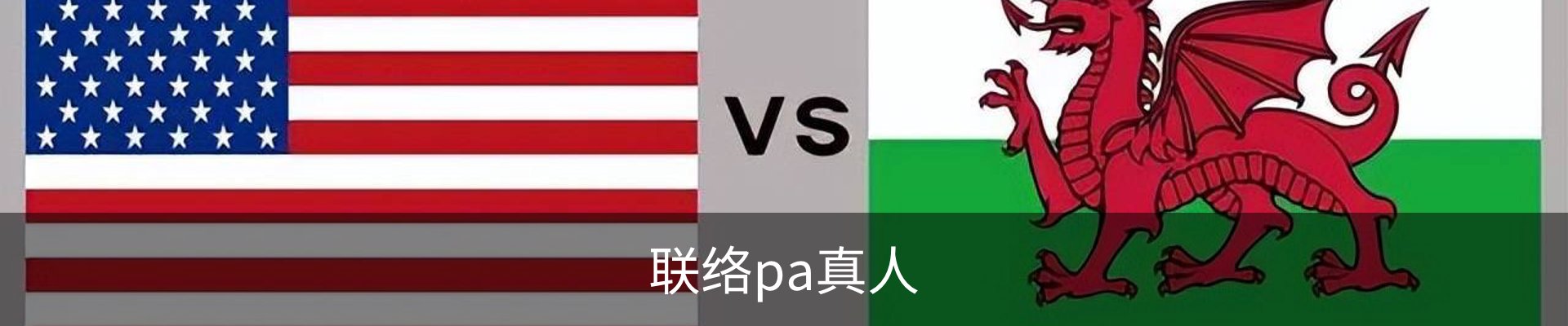 联络pa真人